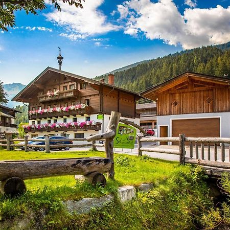 Bio Bauernhof Schweizerhof Villa Bad Hofgastein Kültér fotó