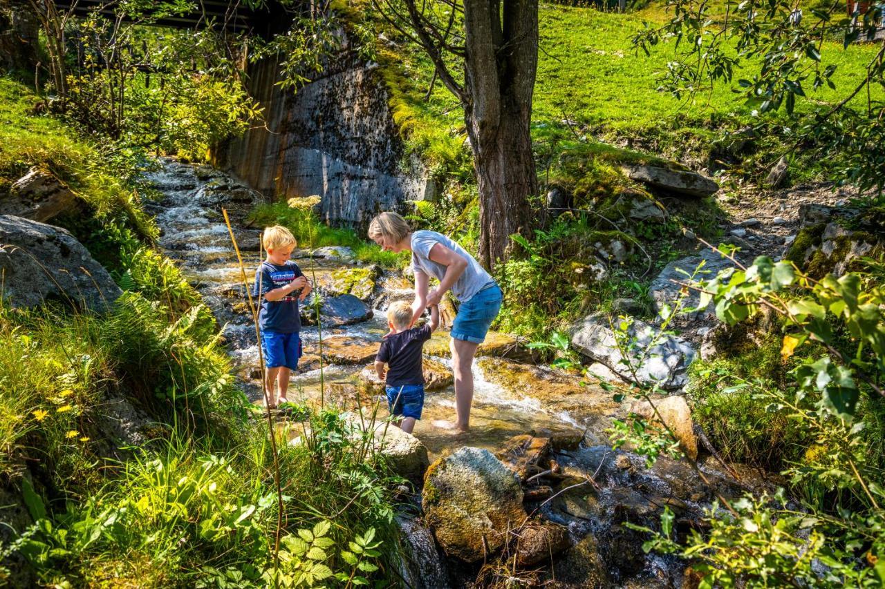 Bio Bauernhof Schweizerhof Villa Bad Hofgastein Kültér fotó